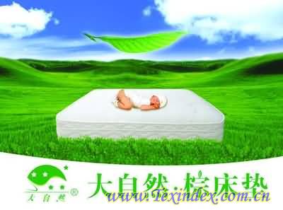 �������|׌��˯��������