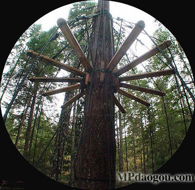 ������˼�������w�Ƅӷ���