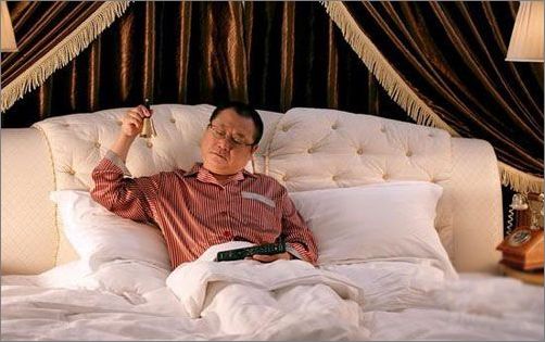 看賀歲喜劇《非誠勿擾》唯美家居照 《非誠勿擾》唯美家居照