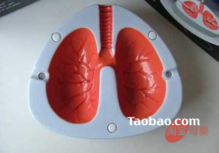 �gЦ�r�����˹��������