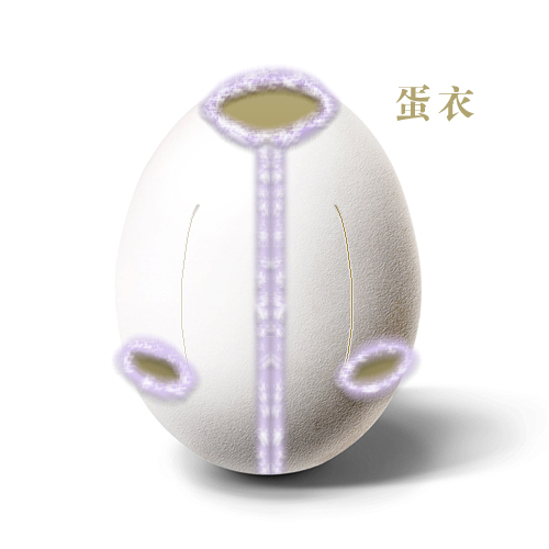 ���᣺�u��������Ʒ���p