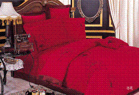 �����݌��u��չʾ