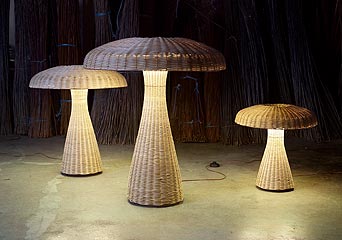 �Ӽ҄���ɐ�С��Ʒ