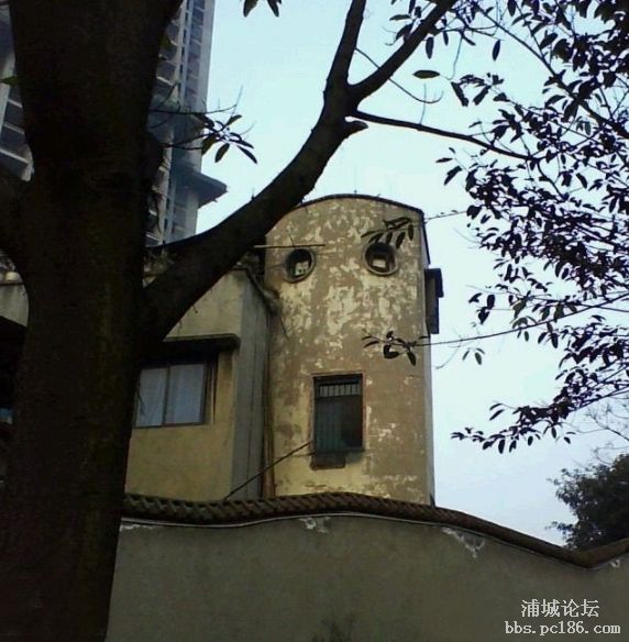 �W�ѱ������˵ġ��塱�Ƿ�