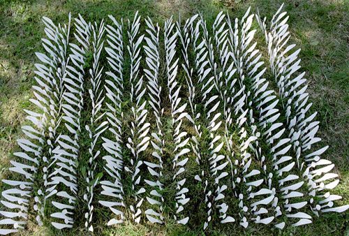 һ���Բ;�ƴ���e��ˇ�g