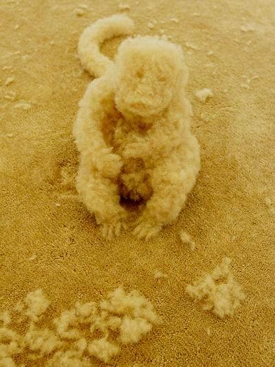 ����ˇ�g������̺���ܽqëС��