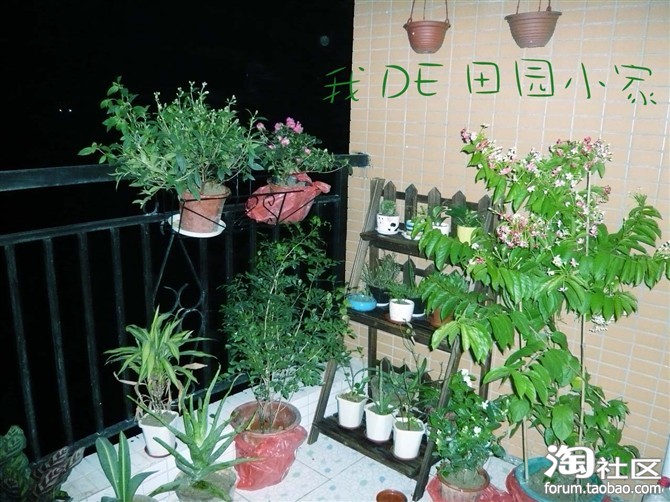 �����ҵ���@С��