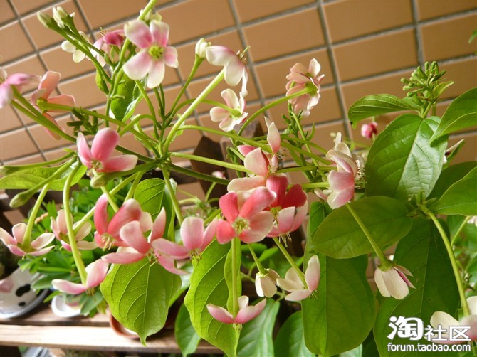 �����ҵ���@С��