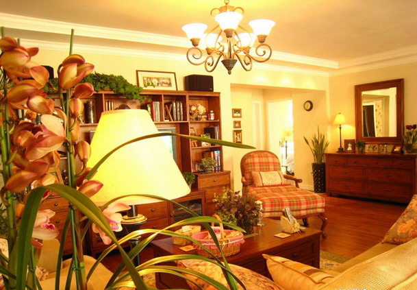 ����@�OӋ�L��ɢ�l����������