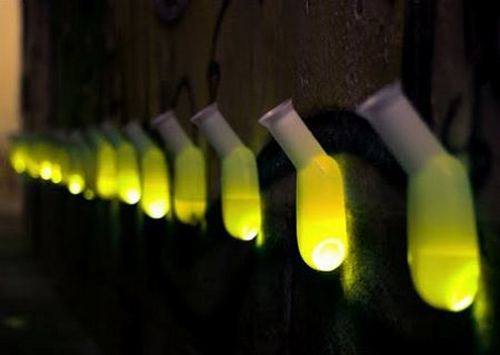 ���˵ġ�����������