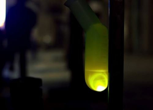 ���˵ġ�����������