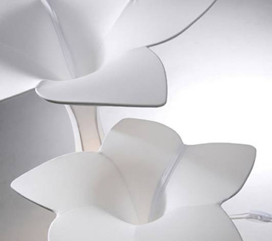 �`�������ձ���֮���߻�����