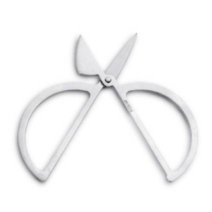 Kurz�A�������ü������ľ�������