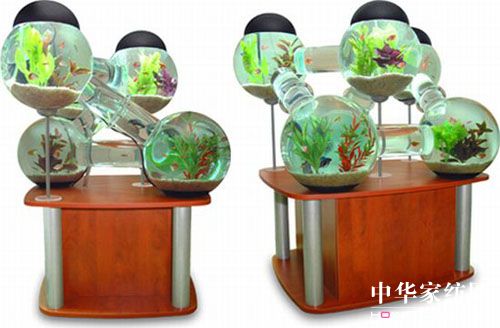 ����������Ą�(chu��ng)���~��