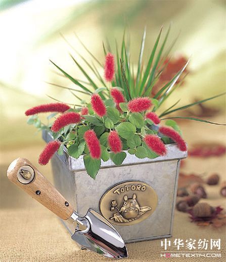 宮崎峻動(dòng)畫版盆景