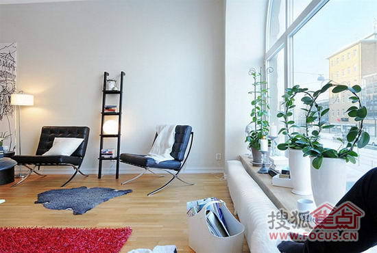 ��������L��С���͹�Ԣ