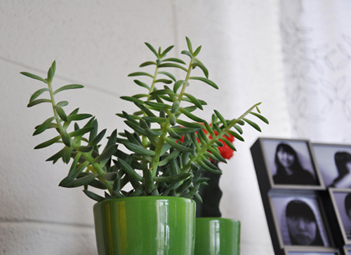 ������Ԣ��ļ�������