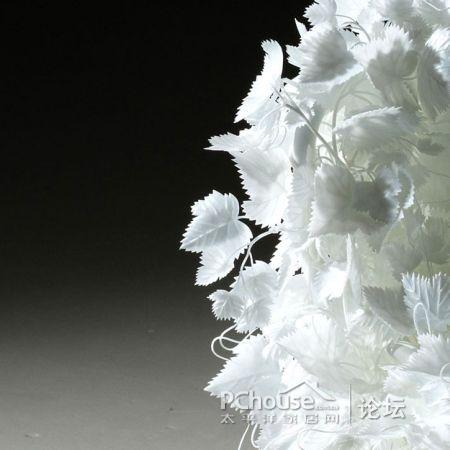 ���׵Ę��~�Σ��Є�(chu��ng)�⵫�ܹª�