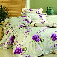 ���ڣ�FMTY005-4��