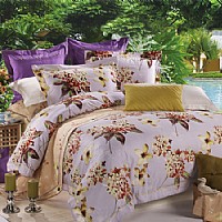 ��Ϧ����