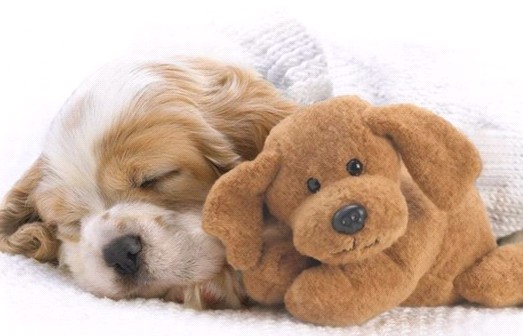 �H�������˯һС�r����