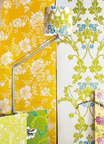 �¾G�»���o�Ҿ�������