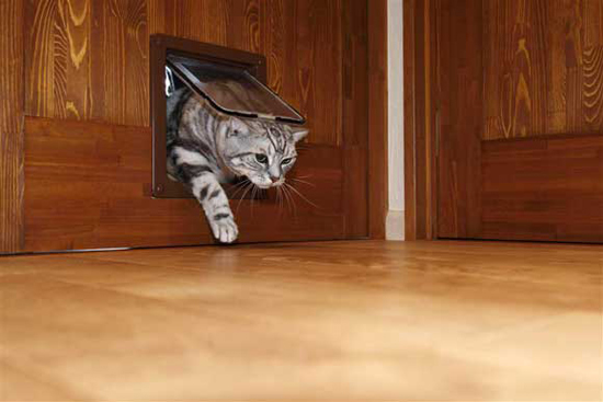 �ձ��ی�֮��85ƽ�g����昷���