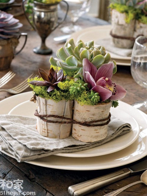 �ؚw��Ȼ��(sh��)ľ���͵��b���(һ)