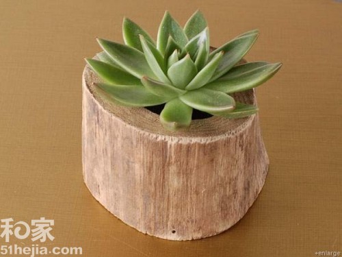 �ؚw��Ȼ ��ľ���͵��b���(��)