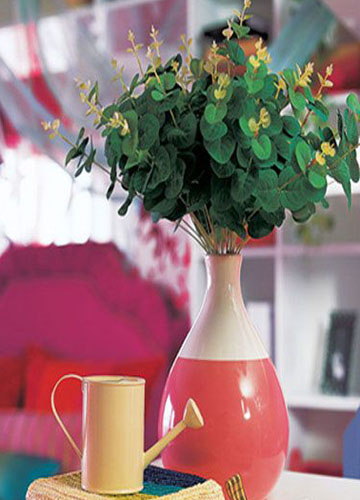 ϲ���ҾӚ�ռt�y��Ĩ������