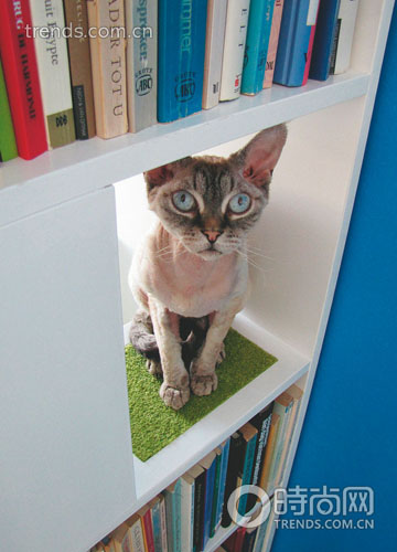 �錙�ﰲ��һ�����m�ľ�ס���g������BС�Nʿ