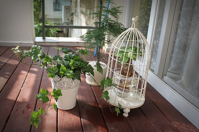 �l����@�L�����㻨�@