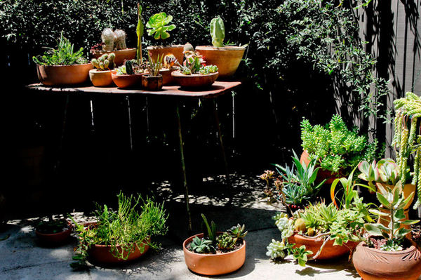 ��M�`�еĻ��ʽ�F����Ԣ