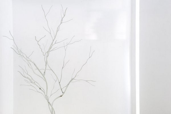 ����Ҳˇ�gSotoKangei�����OӋ���p