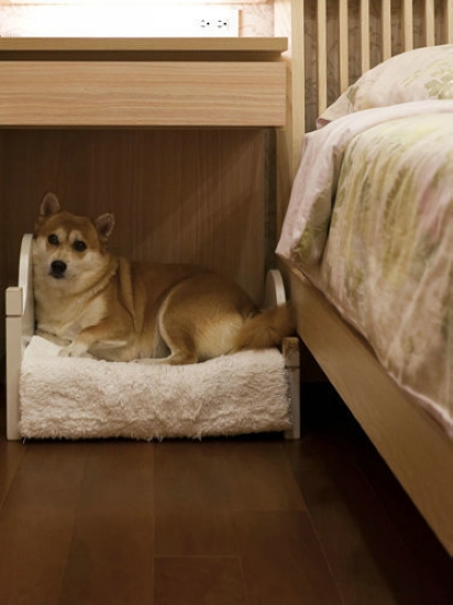 82ƽ���ݴ�׃������ʽ�L(f��ng)ζ�Ҿ�