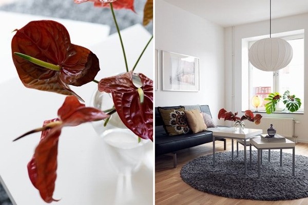 С�w������59ƽ����Ҏ��Ҳ����