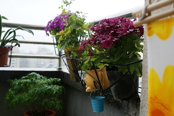 5�f�b�Gɫ��@�nʽ������Ԣ(��)