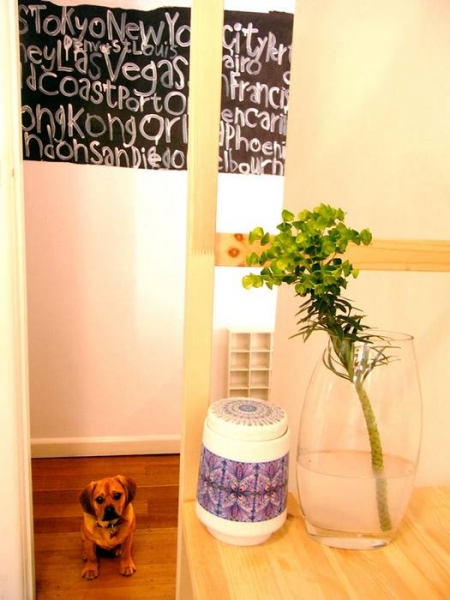 ɫ�ʼ��ʵ�ˇ�g֮�һ���L��Ԣ