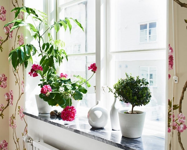 64ƽ���컨��ʽ��Ԣ���p(��)