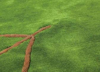 ֲ���Ե�̺׌��Ȼס���