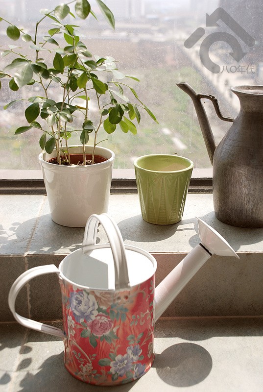 �S�Gɫ���s��@�����p(��)