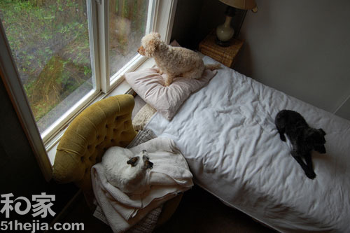 ��(f��)�ő��fС���͠I���Ӱ��ͥ��Ϣ