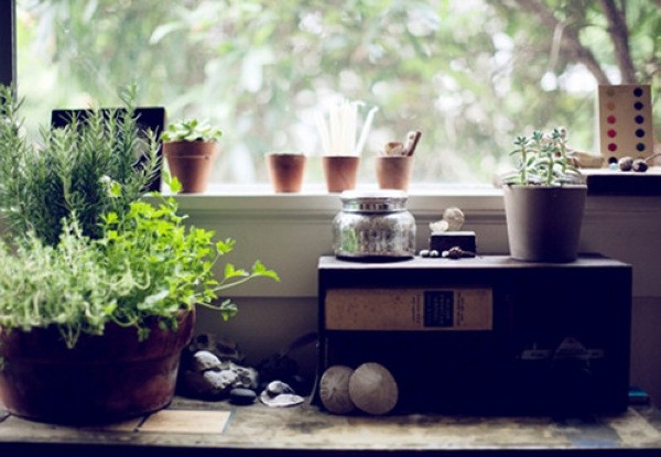 �W(xu��)ɭϵŮ��������ɭϵ��Ԣ(��)