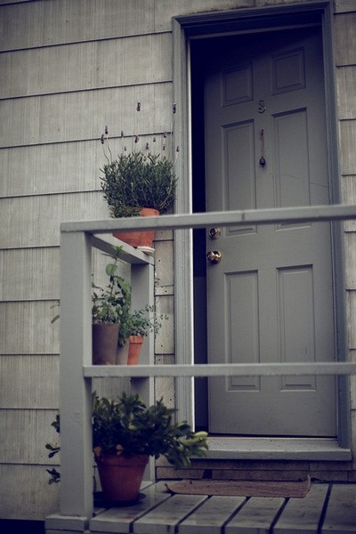 �W(xu��)ɭϵŮ��������ɭϵ��Ԣ(��)