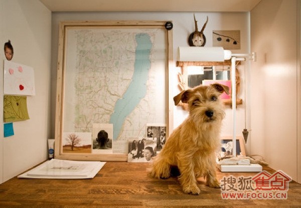 ˇ�g�����OӋ�����쾫Ʒ��