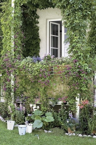 ��ɫ���������ĵ�Ľ��ڹ�Ԣ