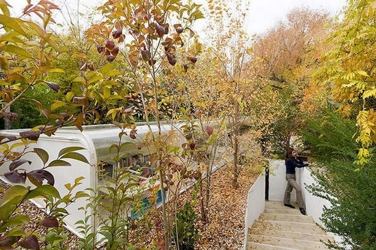 ���ܴ���Ȼ��Ϣ�w�ɭ���k����