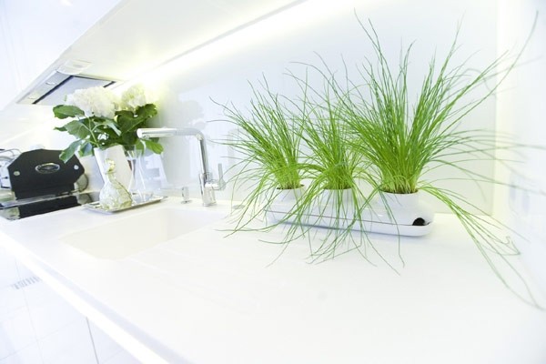 ���W�L���u�����Aɳ��Ԣ�OӋ(��)