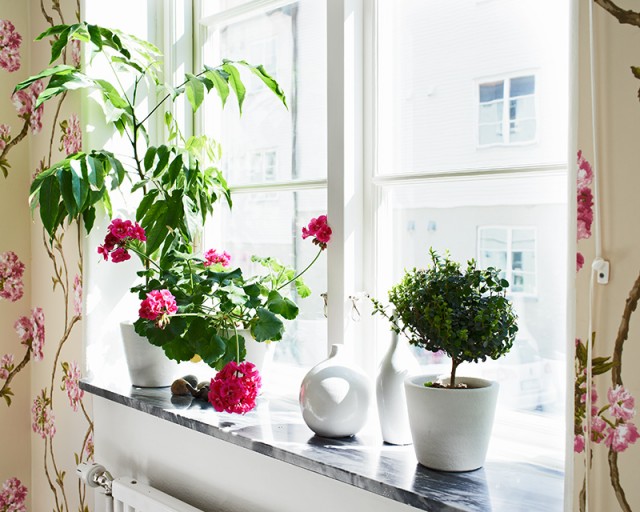 ����M���w64ƽ����ʽ��Ԣ(��)