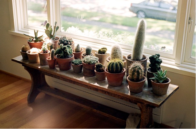 �����݆T�ď�(f��)������